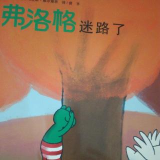 《弗洛格迷路了》