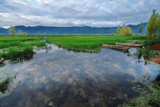 邹安超作品《 烟雨草海 》罗兰朗诵