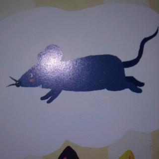 老鼠的样子