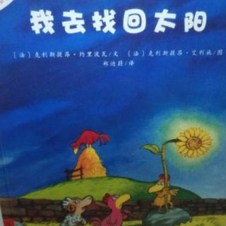 《我去找回太阳》