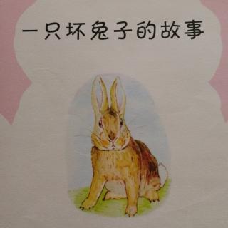 一只坏兔子的故事