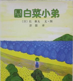 圆白菜小弟