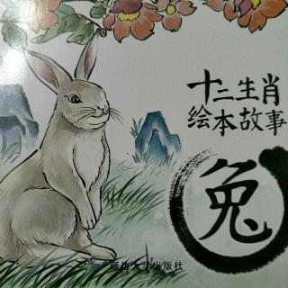 《十二生肖的故事》4 卯兔