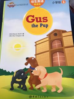 Gus the pup 20181002