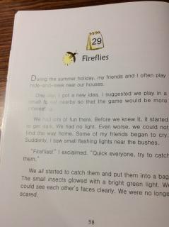 7-29 Fireflies