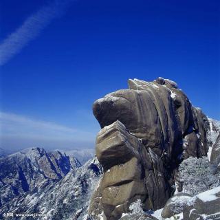 萌宝诵读《黄山奇石》