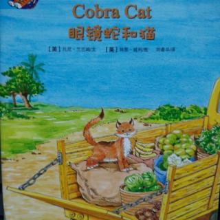 培生少儿英语分级读物9《Cobra Cat 1 眼镜蛇与猫1》