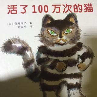 活了一百万次的猫