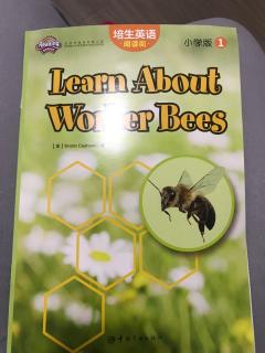 learn about worker bees 20181002