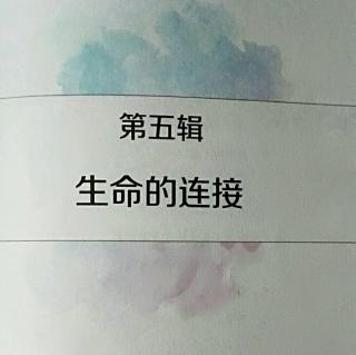 接纳的力量