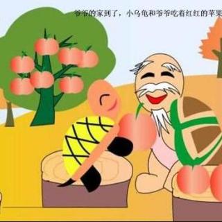 小乌龟贝贝分苹果