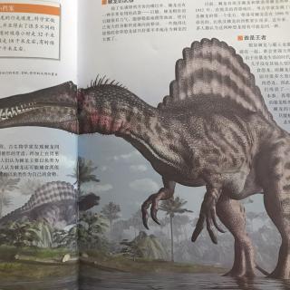 188.恐龙帝国：霸王龙、棘龙、冠龙、腱龙