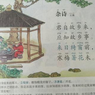 《杂诗》王维