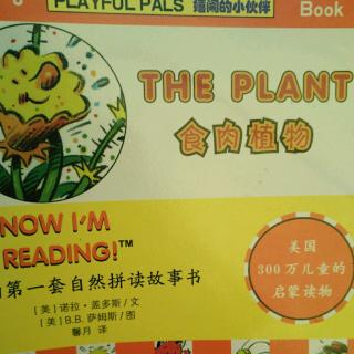 THE PLANT