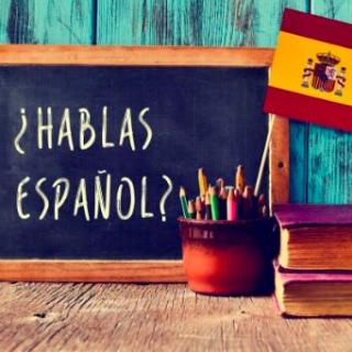 西班牙语常用句--法西对照