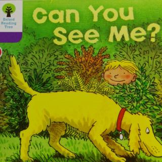 20181006 oxford reading tree 1-44 lcan you see me