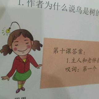 《鸟是树的花朵🌺》