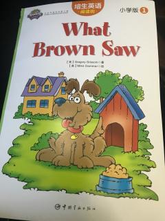 what Brown saw 20181007