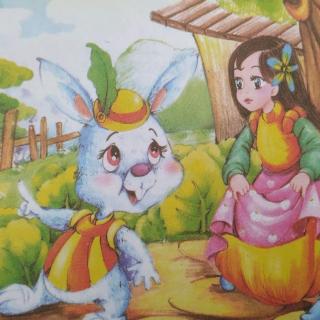 兔子新娘简笔画图片