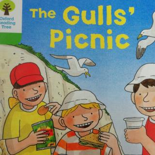 gulls picnic图片