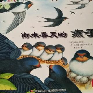 《衔来春天的燕子》奇趣大自然系列韩国绘本