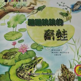 《蹦蹦跳跳的青蛙》奇趣大自然系列韩国绘本
