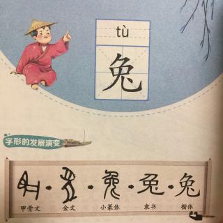 汉字的故事 兔