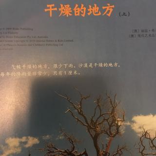 干燥的地方