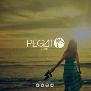 Summer vibe-pegato&Walk Off Earth