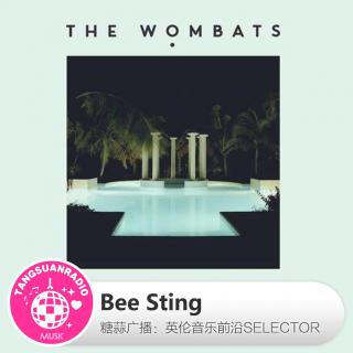 糖蒜爱音乐之The Selector：Bee Sting