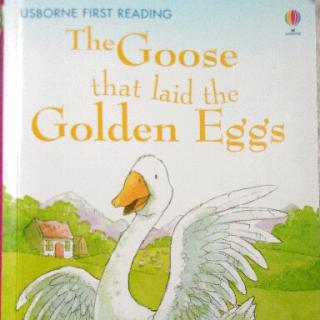 Bonnie的晨读《the goose that laid the golden eggs》