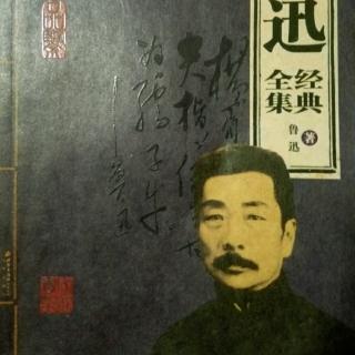 鲁迅文集(十一)