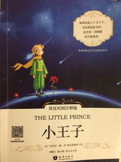 【世界经典文学】《小王子》（第十章）