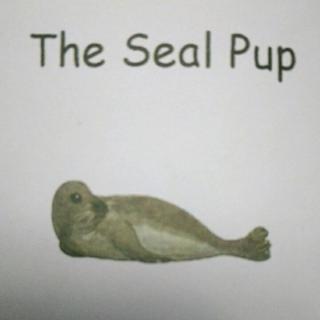 英语故事《The Seal Pup》