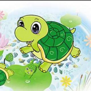 【故事485】《小乌龟找妈妈》喜洋洋幼儿园睡前故事