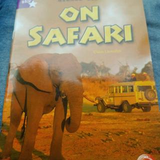 ON SAFARI 4