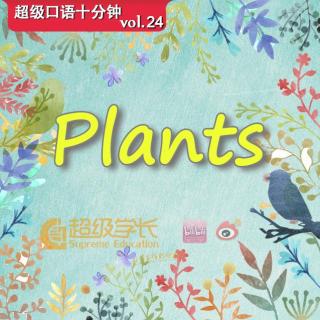 【超级学长】超级口语十分钟｜Plants 植物