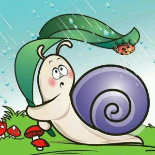 【金海教育】第39期微课堂《蜗牛的小灯笼》