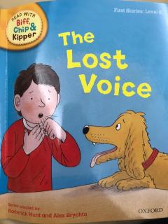 The lost Voice
