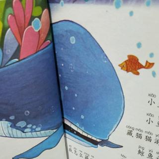 中坝镇中心幼儿园睡前故事《鲸鱼和小鱼》