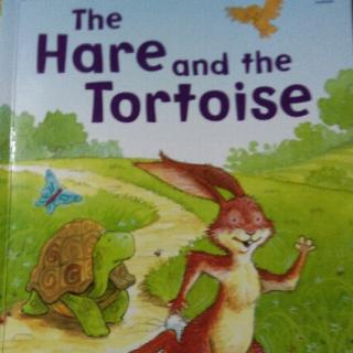 Bonnie的晨读《the hare and the tortoise》