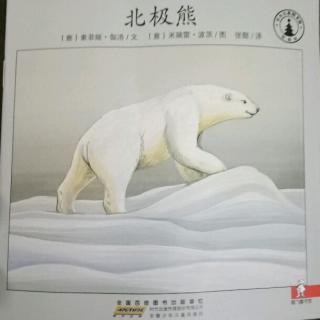为你读书《北极熊》
