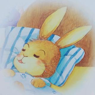 故事分享《小兔子起床喽》