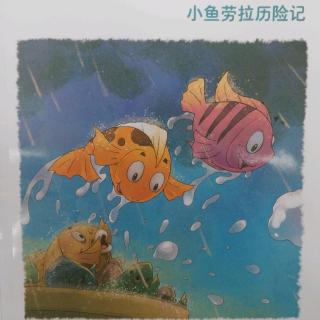 小鱼劳拉历险记🐟