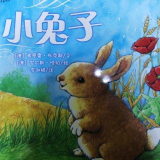 苹果树美术活动基地有声绘本《小兔子》