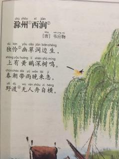 滁州西涧 唐 韦应物