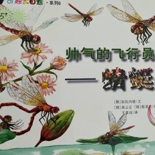 《帅气的飞行员――蜻蜓》奇趣大自然系列韩国绘本