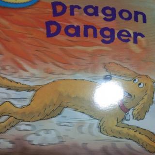 Dragon  Danger