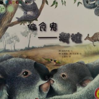 《偏食鬼――考拉🐨》奇趣大自然系列韩国绘本