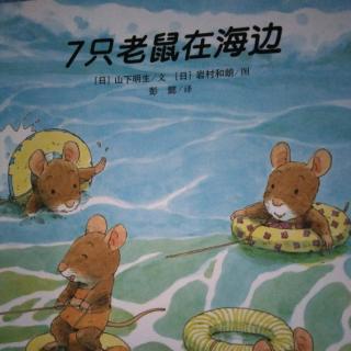 七只老鼠在海边